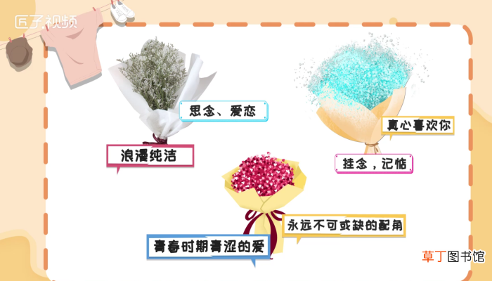 满天星花语和寓意