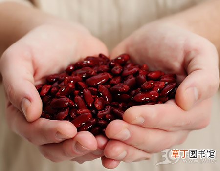红豆滋补！教您快速烹煮营养红豆汤