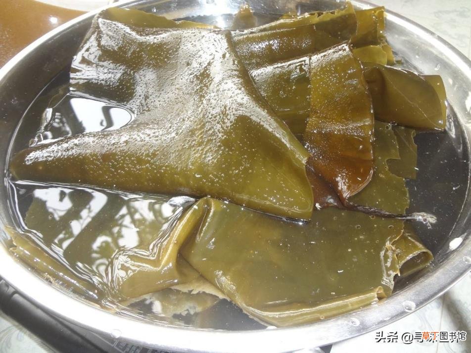 海带一搓掉皮还能吃吗 海带煮多久才熟