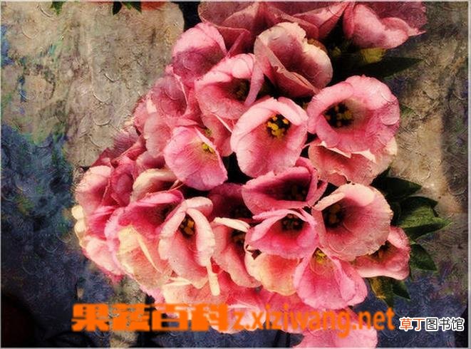 洋桔梗花后的处理方法