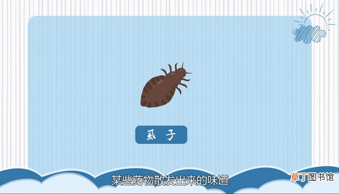 虱子怕什么