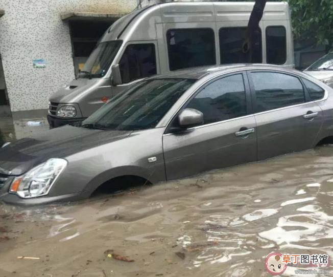 怎么避免买到泡水车 泡水车或流向二手市场