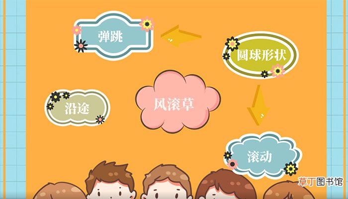 风滚草在中国叫什么