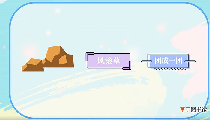 风滚草在中国叫什么