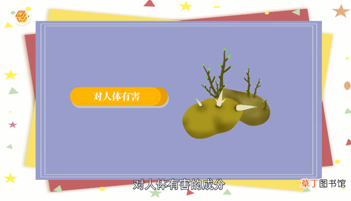红薯发芽了还能吃吗