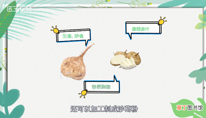 地瓜发芽能吃吗