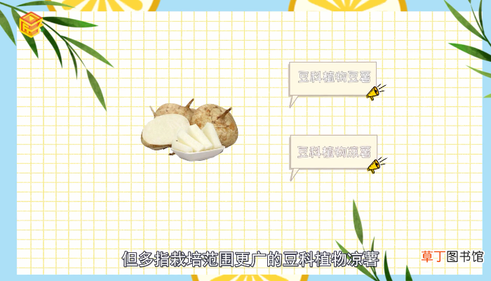 地瓜发芽能吃吗