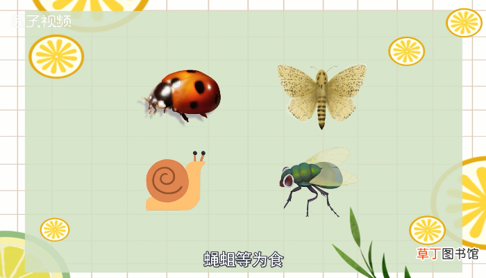 癞蛤蟆有毒吗