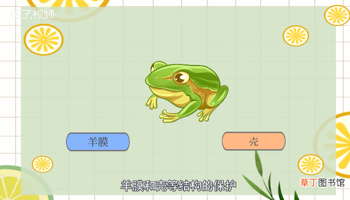 癞蛤蟆有毒吗