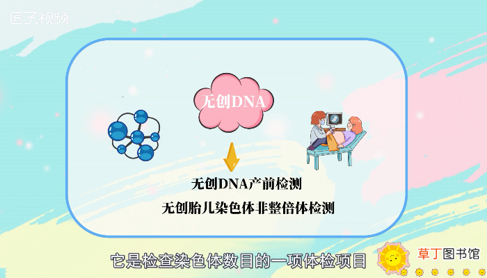 无创dna是检查什么的