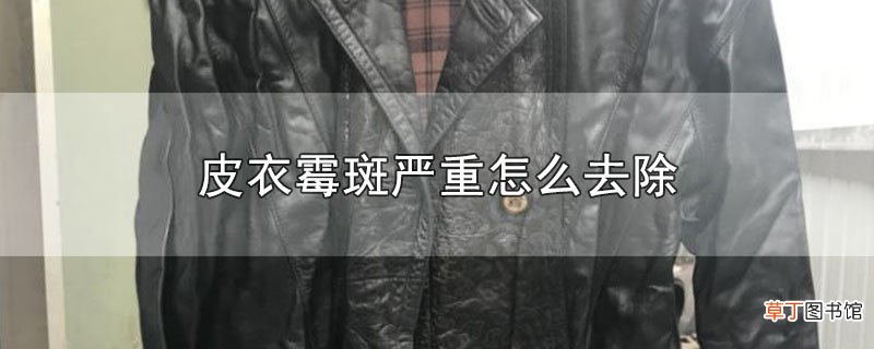 皮衣霉斑严重怎么去除
