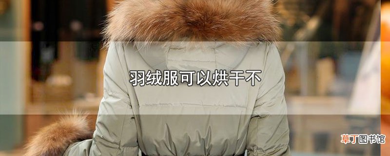 羽绒服可以烘干不