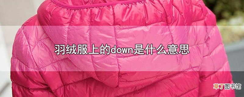 羽绒服上的down是什么意思