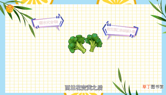 西兰花变黄了还能吃吗