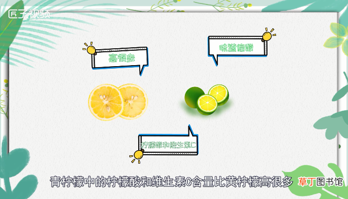 青柠檬和黄柠檬的区别