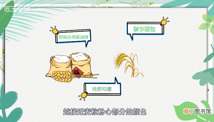 面粉是什么做的