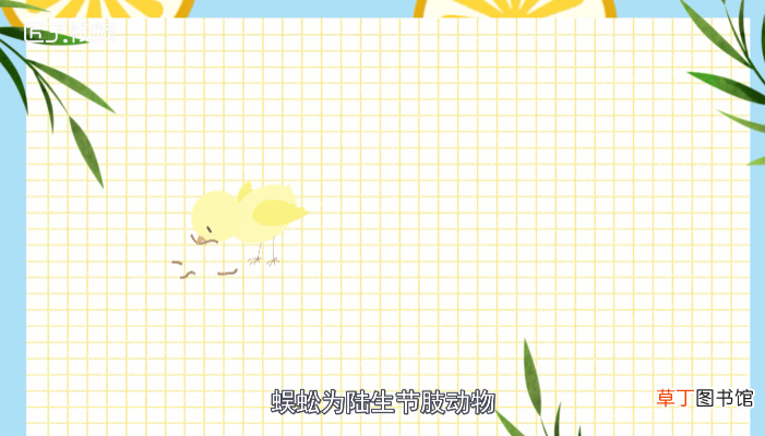 蜈蚣有毒吗