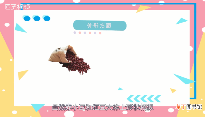 赤小豆和红豆的区别
