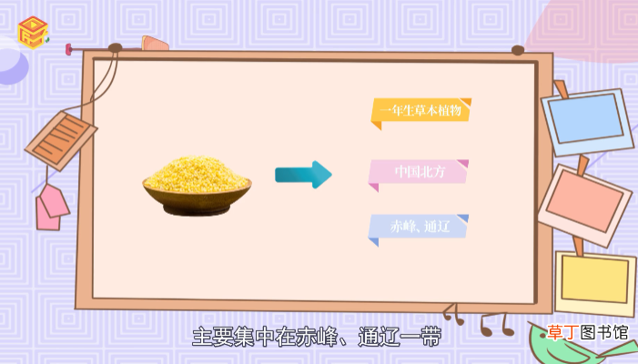 五谷杂粮有哪些