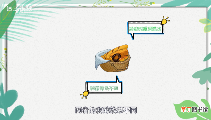 泡打粉和酵母的区别