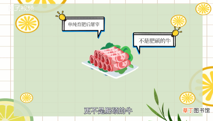 肥牛是什么肉做的
