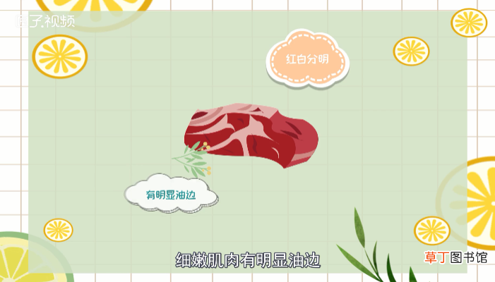 肥牛是什么肉做的