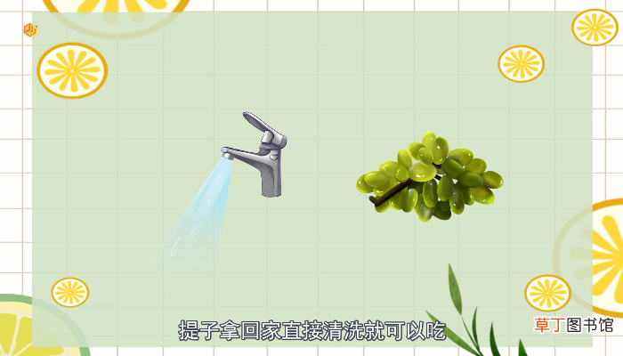 提子和葡萄的区别