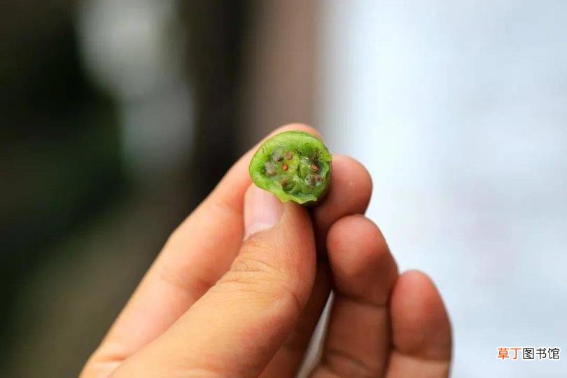 崂山风景区玩多久 崂山爬多久