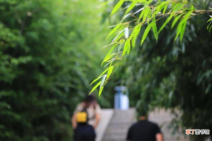 崂山风景区玩多久 崂山爬多久