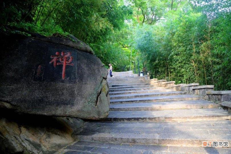 崂山风景区玩多久 崂山爬多久