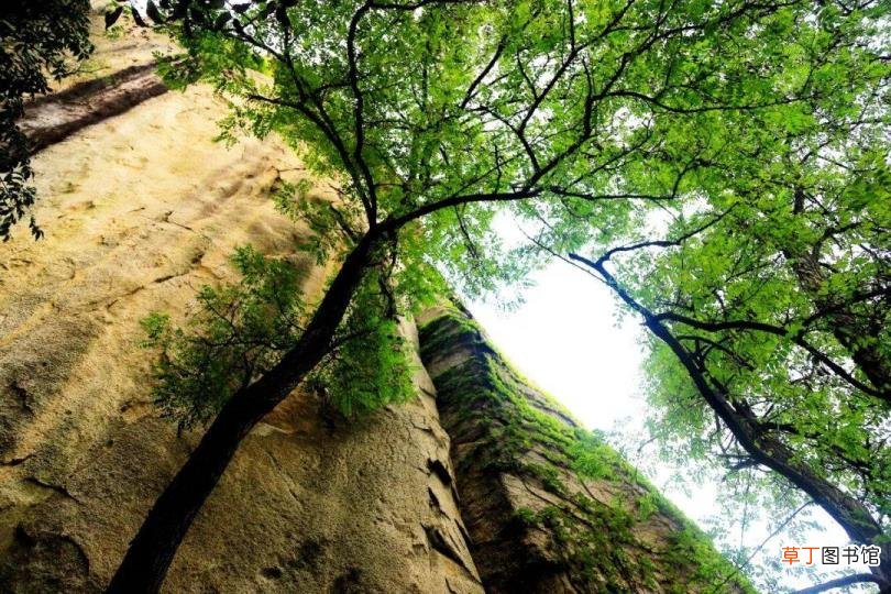 崂山风景区玩多久 崂山爬多久