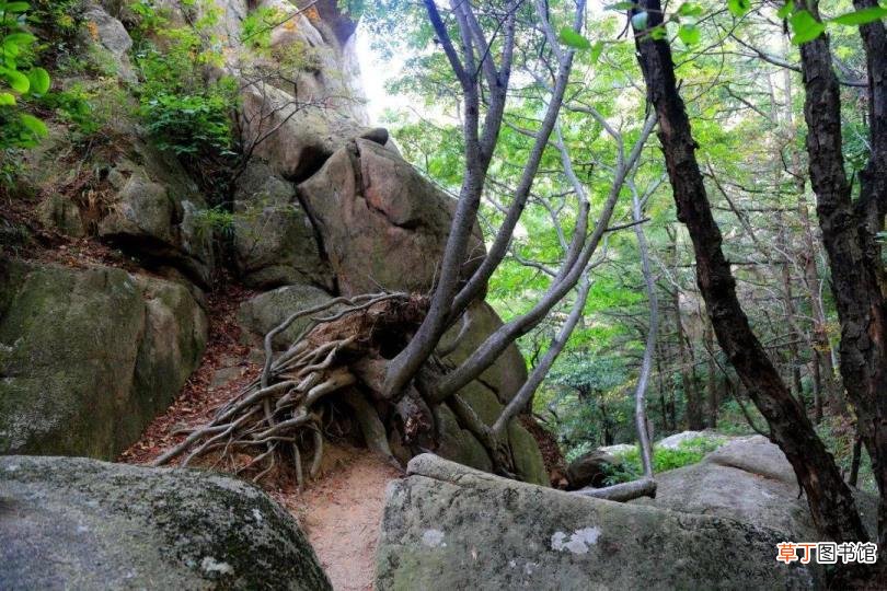 崂山风景区玩多久 崂山爬多久