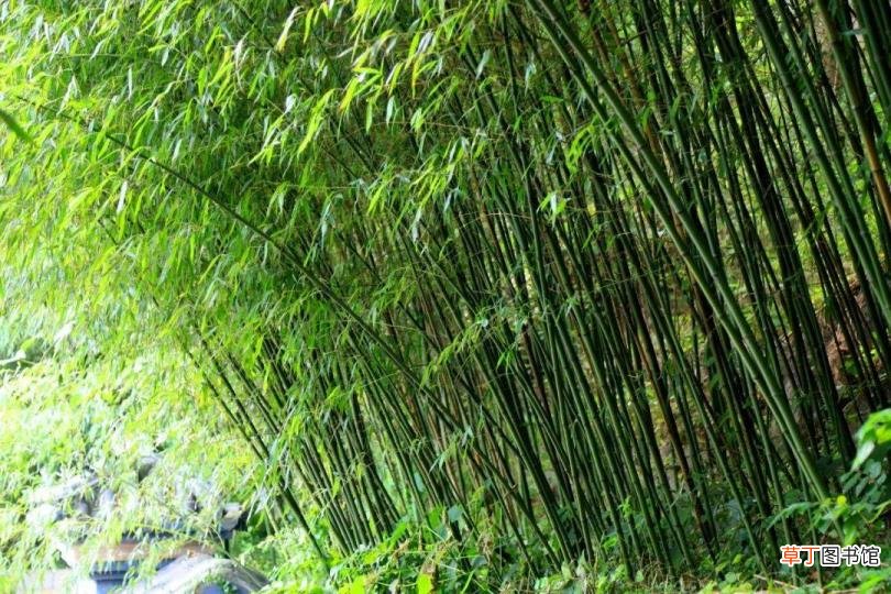 崂山风景区玩多久 崂山爬多久