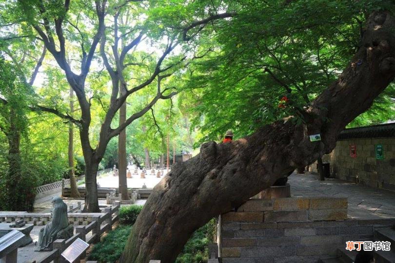 崂山风景区玩多久 崂山爬多久