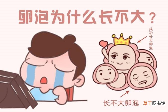 打促排卵针卵泡不长怎么办 促排卵针打后多久排卵