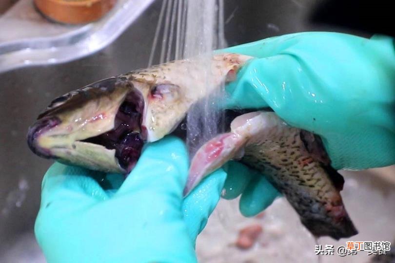 清炖鱼汤的做法大全 煮鱼汤要多久