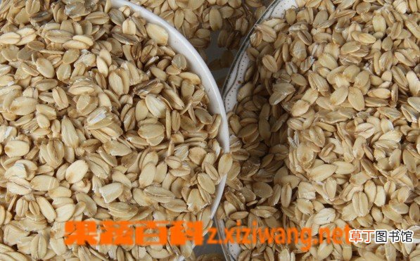 燕麦怎么吃 燕麦怎么做好吃