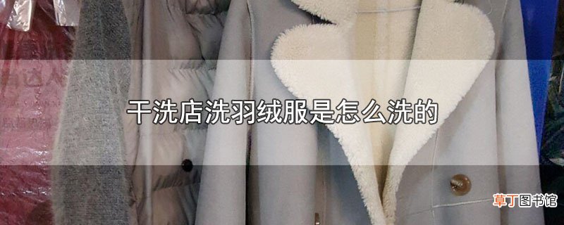 干洗店洗羽绒服是怎么洗的