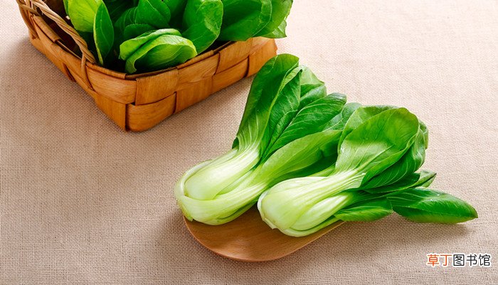冲菜是什么菜