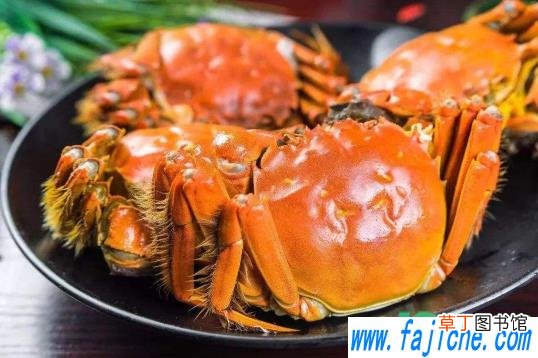 蒸大闸蟹用多大的火 蒸大闸蟹用什么火候