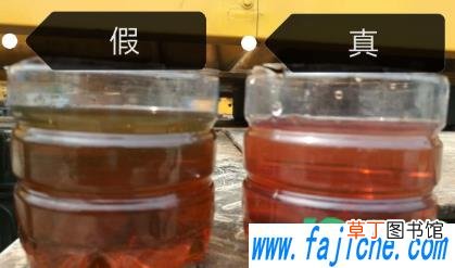 假机油怎么辨别 假机油是什么做的