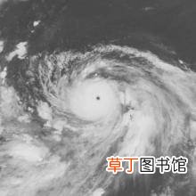 第9号台风卢碧生成?台风卢碧路径实时发布系统