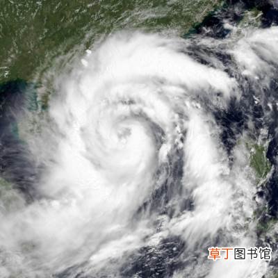 第9号台风卢碧生成?台风卢碧路径实时发布系统