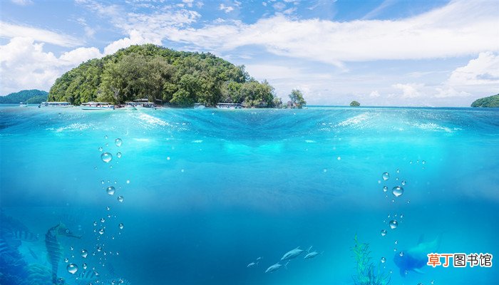 海水是什么颜色的