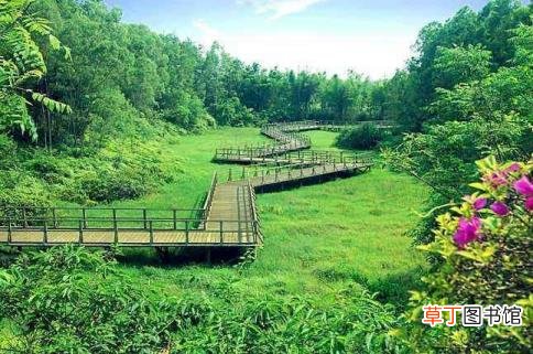 开平到湛江多少公里 江门到湛江要多久
