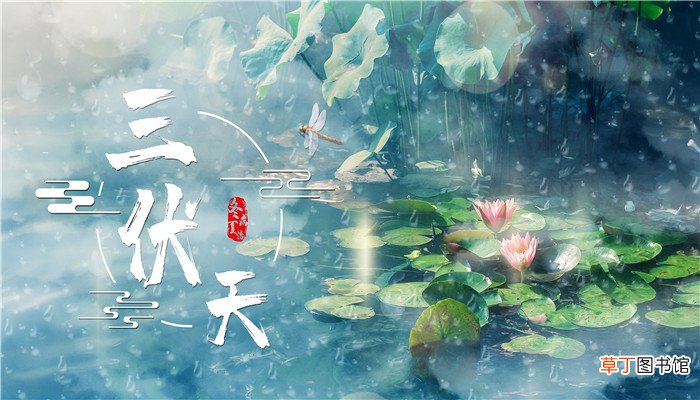 什么时候三伏天结束