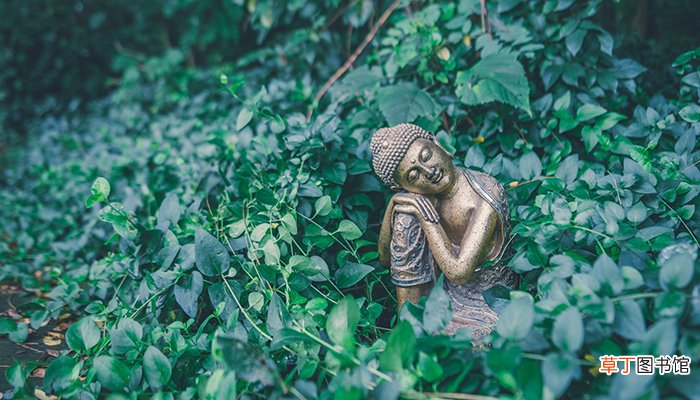 天不渡人人自渡的意思