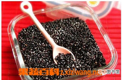 吃黑米有什么好处 吃黑米的好处有哪些