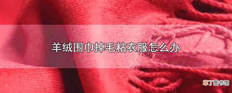 羊绒围巾掉毛粘衣服怎么办
