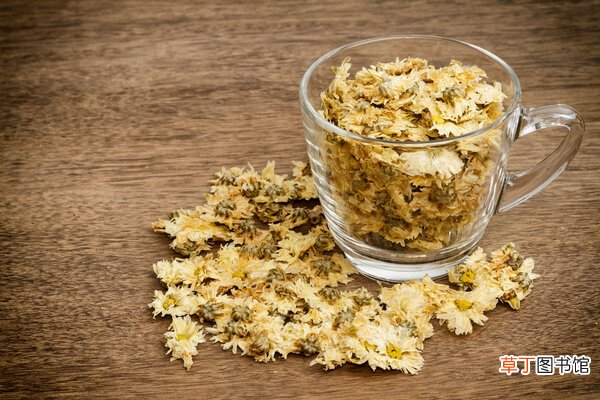 每天一杯菊花茶可收获这8大好处，但要注意9个禁忌
